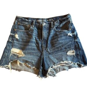 American Eagle Outfitters Size 8 90s Boyfriend Denim Shorts Cutoff High Rise
